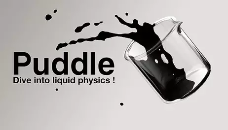Купить Puddle