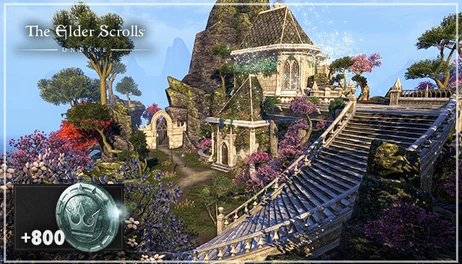 Купить The Elder Scrolls Online: Housing Starter Pack