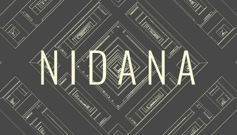 Купить NIDANA