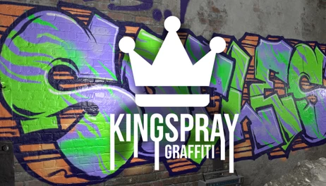 Купить Kingspray Graffiti Simulator