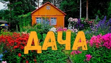 DACHA