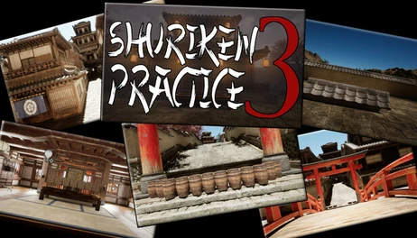 Купить Shuriken Practice 3