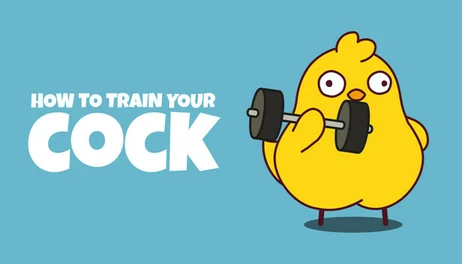 Купить How to Train Your Cock
