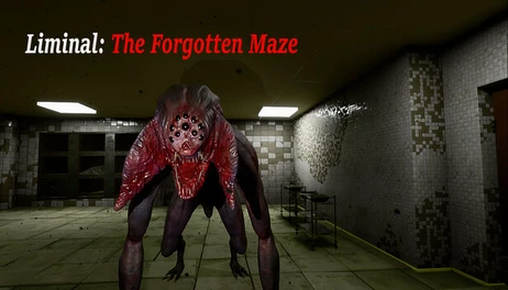 Купить Liminal:The Forgotten Maze