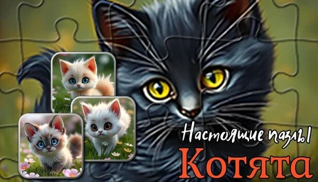 Купить Настоящие пазлы - Котята (изображения)
