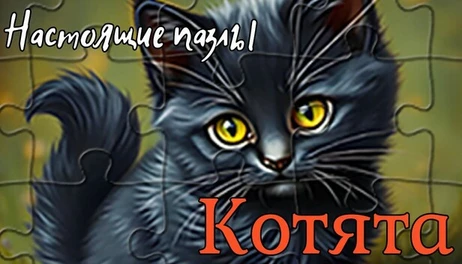 Купить Настоящие пазлы - Котята