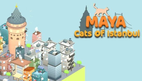 Купить Maya: Cats of Istanbul