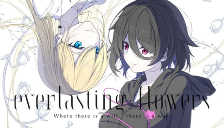 Купить everlasting flowers
